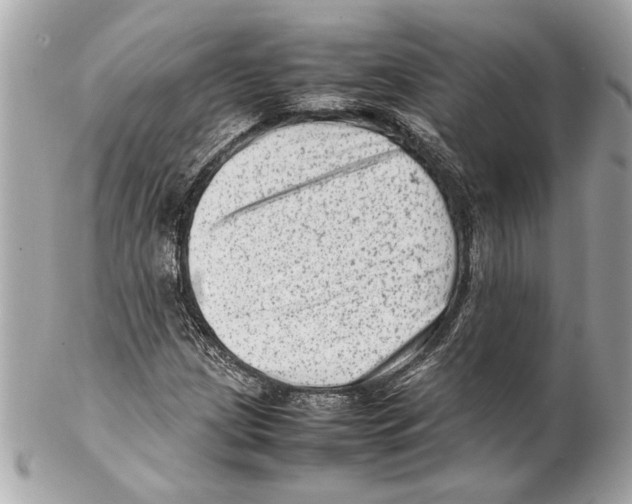 X0000102011209200808151244