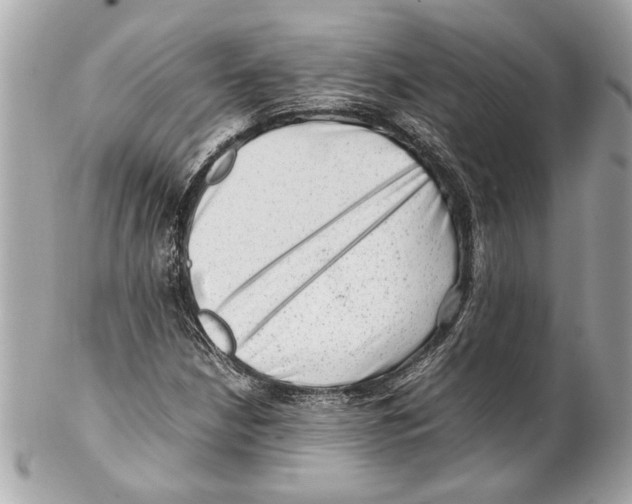 X0000102011210200808151244