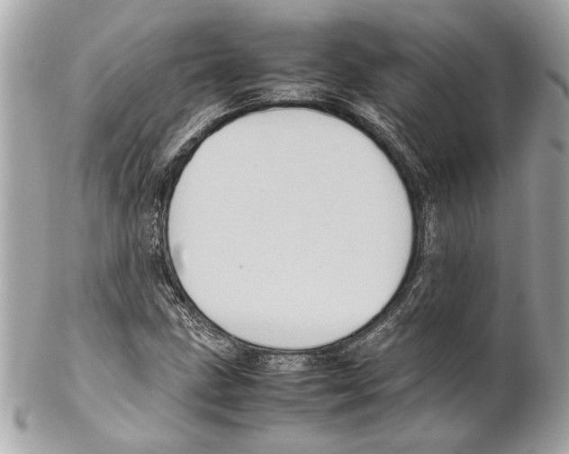 X0000102011211200808151244