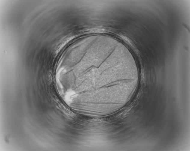 X0000102011212200808151244