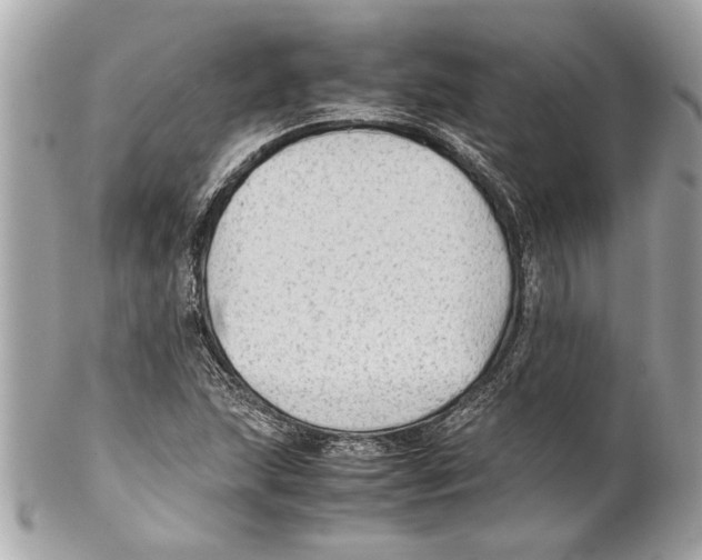 X0000102011215200808151244