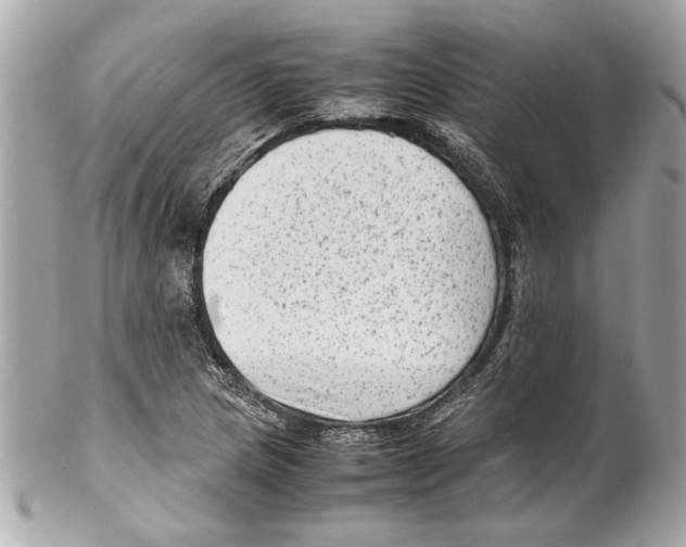 X0000102011217200808151244