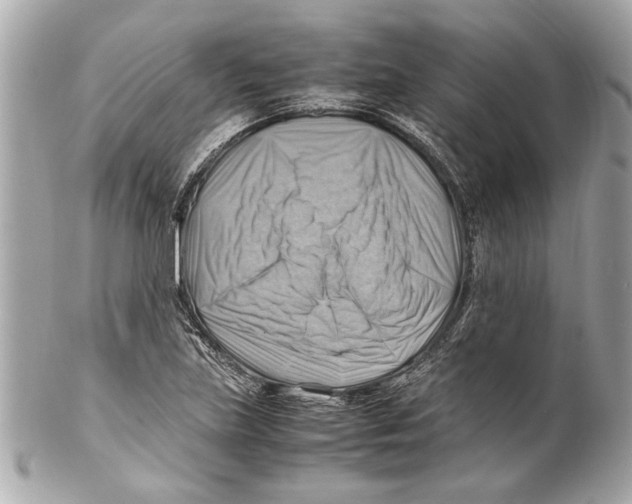 X0000102011219200808151244