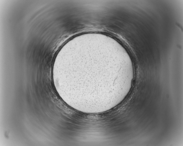 X0000102011220200808151244