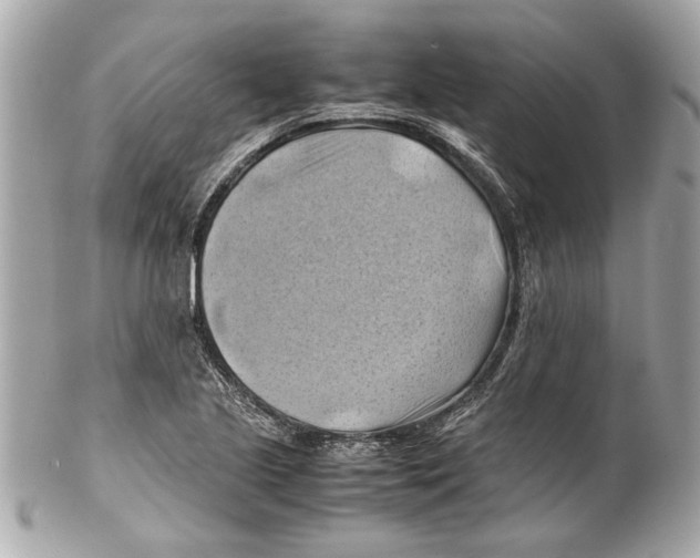 X0000102011221200808151244