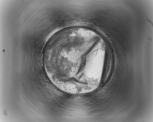 X0000102011222200808151244