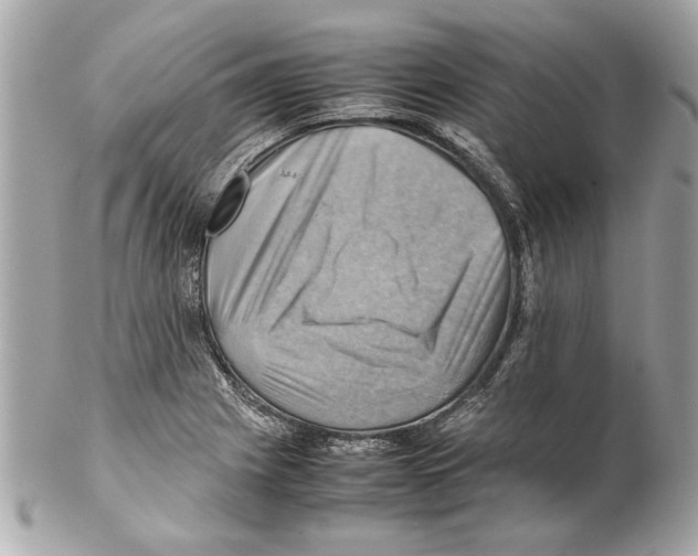 X0000102011225200808151244