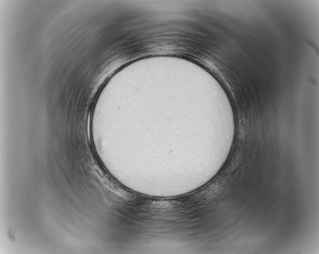 X0000102011227200808151244