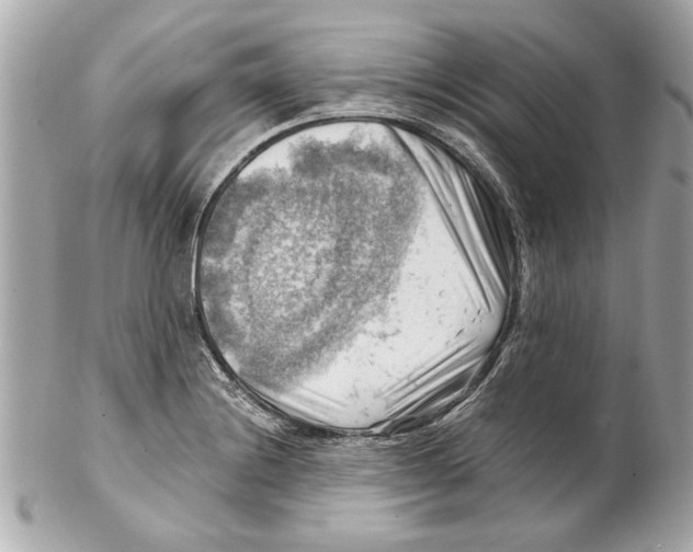 X0000102011228200808151244