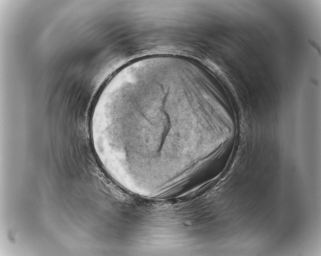 X0000102011230200808151244