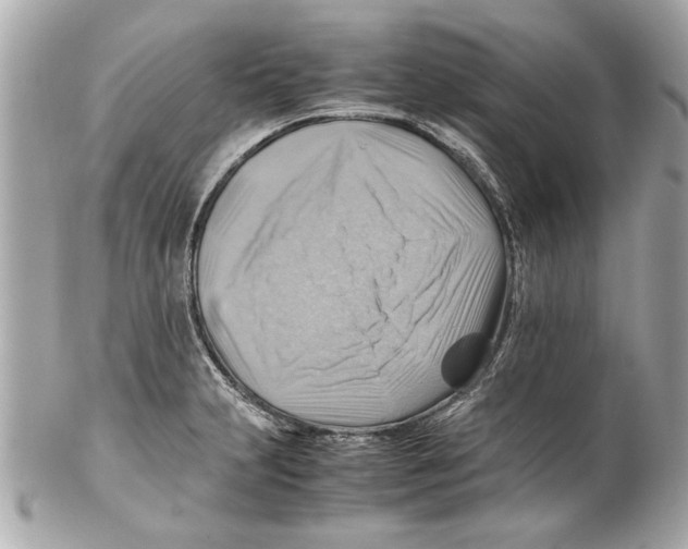 X0000102011231200808151244