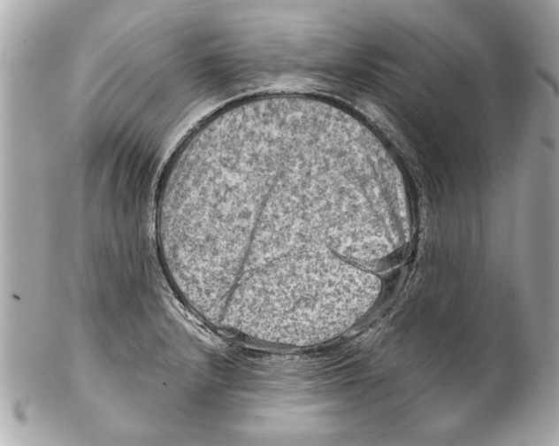 X0000102011232200808151244