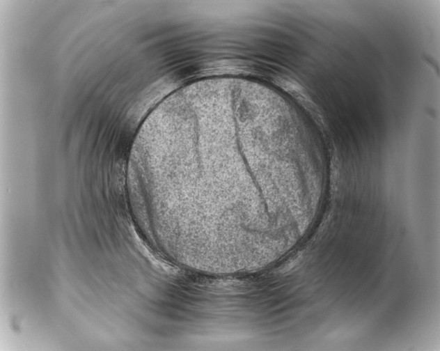 X0000102011233200808151244