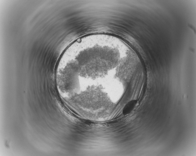 X0000102011234200808151244