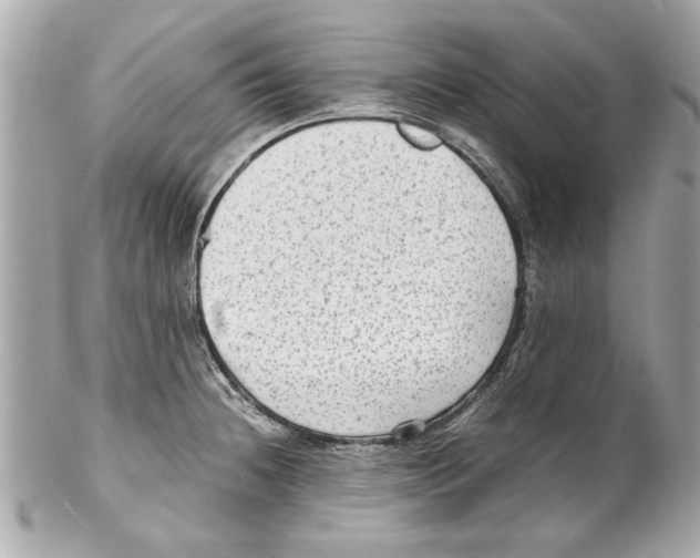 X0000102011236200808151244