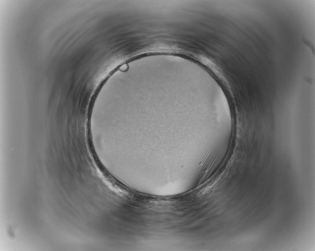 X0000102011237200808151244