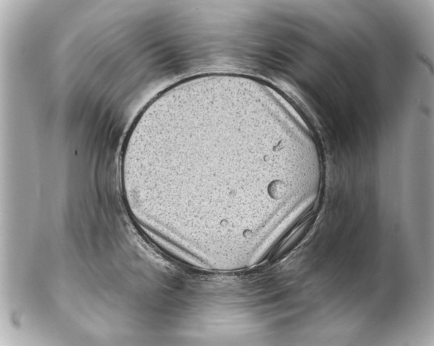 X0000102011238200808151244