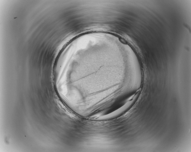 X0000102011240200808151244