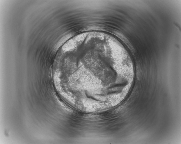 X0000102011241200808151244