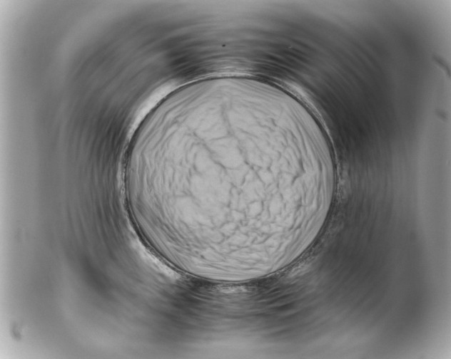 X0000102011243200808151244