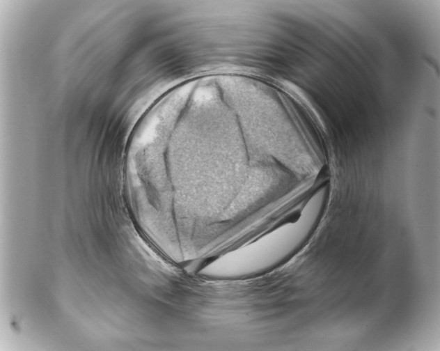 X0000102011244200808151244