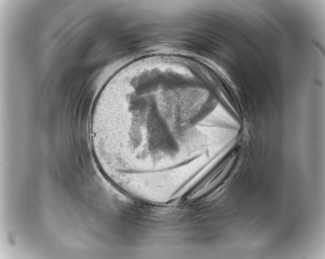 X0000102011247200808151244