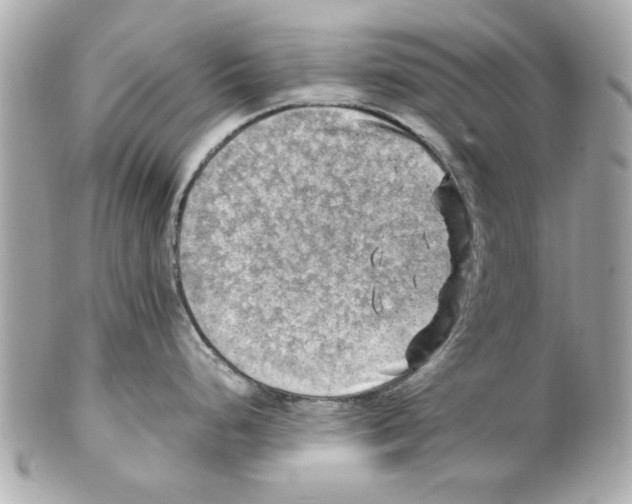 X0000102011248200808151244