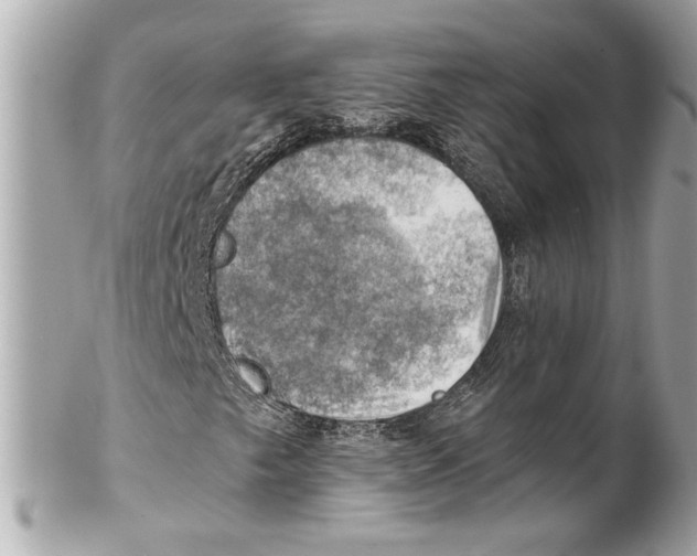 X0000102011249200808151243