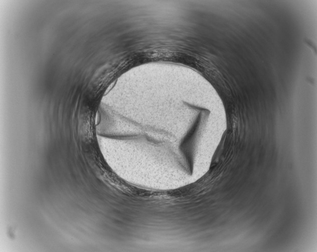 X0000102011250200808151243