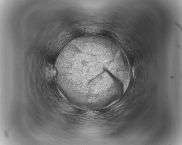 X0000102011251200808151243