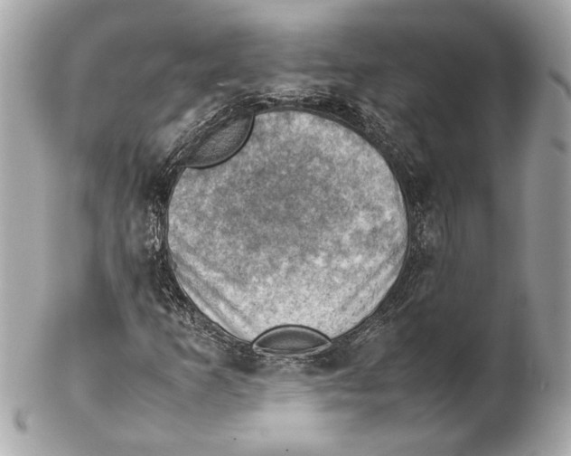 X0000102011253200808151243