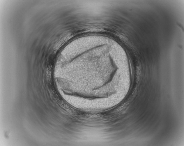 X0000102011257200808151243