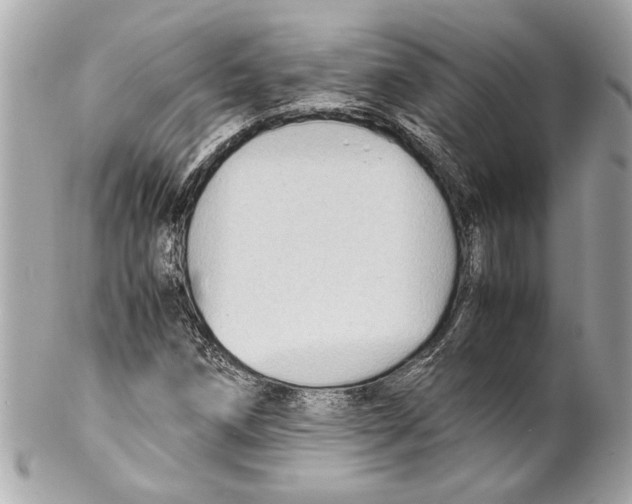 X0000102011258200808151243