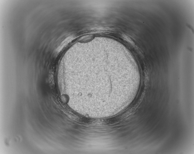 X0000102011259200808151243