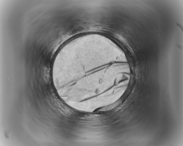 X0000102011260200808151243