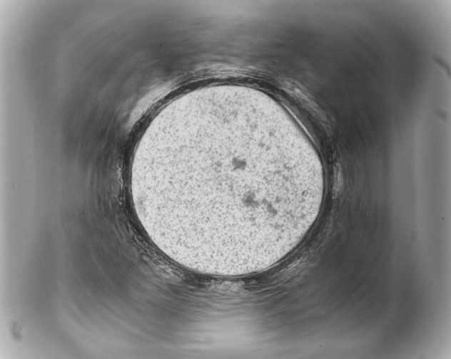 X0000102011261200808151243