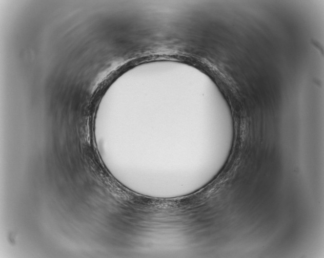 X0000102011262200808151243