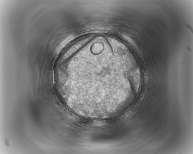 X0000102011267200808151243