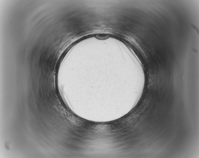 X0000102011268200808151243