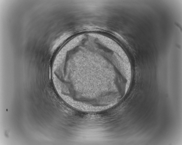 X0000102011269200808151243