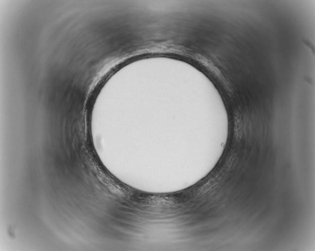 X0000102011270200808151243