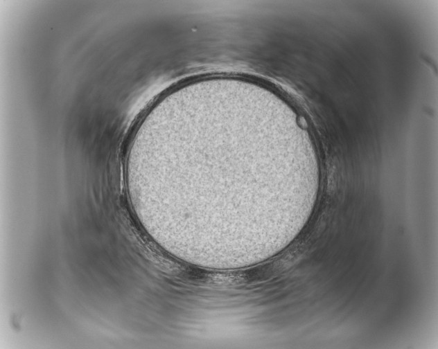 X0000102011271200808151243