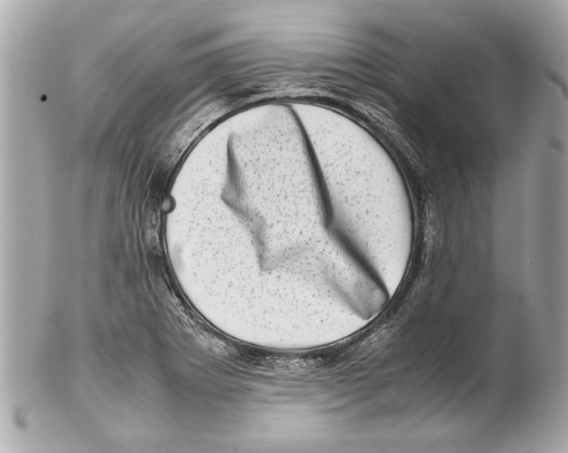 X0000102011273200808151243