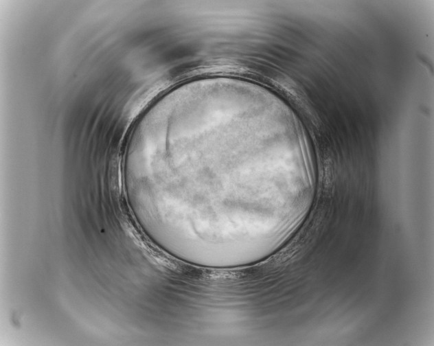 X0000102011274200808151243