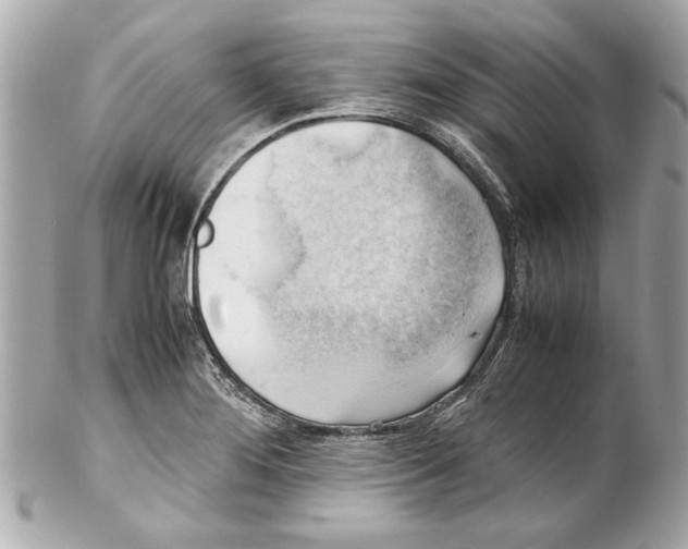 X0000102011276200808151243