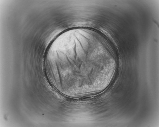 X0000102011277200808151243