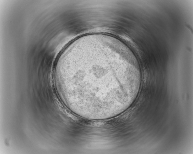 X0000102011278200808151243