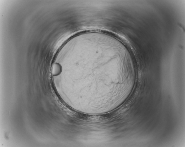 X0000102011279200808151243