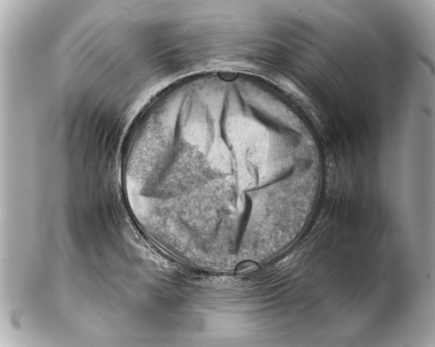 X0000102011280200808151243