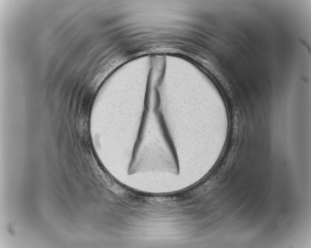 X0000102011281200808151243